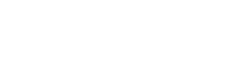Tim Allen